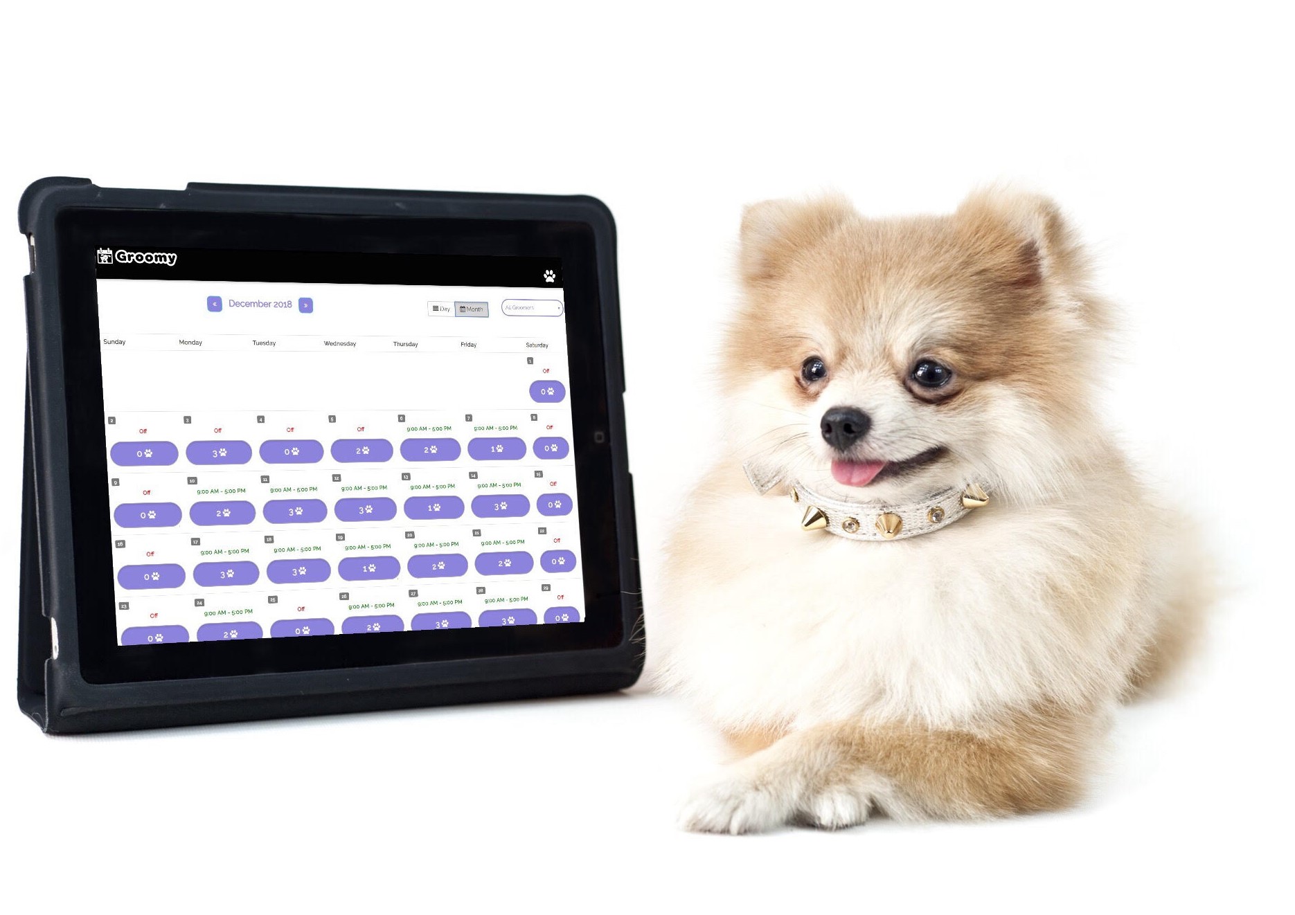 Pet Grooming Apppointment Calendar